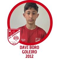 LÉO WELLER ATACANTE 2008 (1).jpg