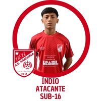 LÉO WELLER ATACANTE 2008 (28).jpg